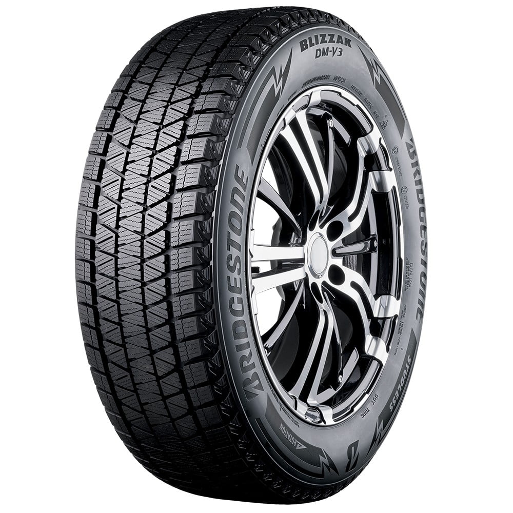 Bridgestone Blizzak Dm V R S